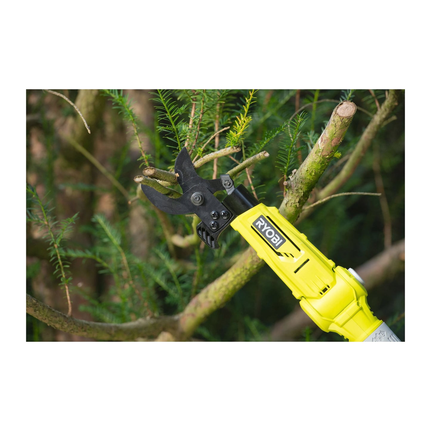 Foarfeca pentru crengi telescopica 18V ONE+ (fara acumulator) - RY18PLA-0