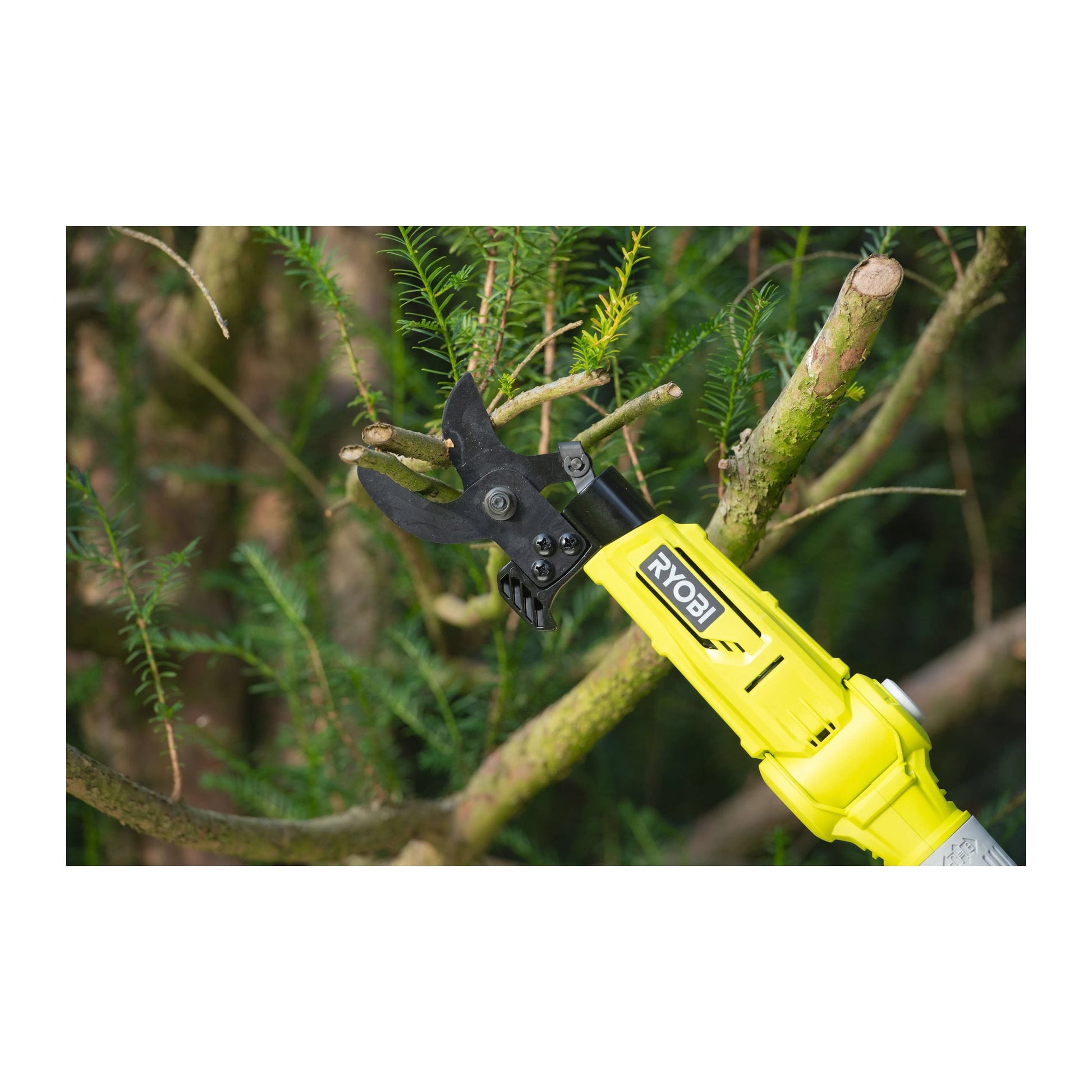 Foarfeca pentru crengi telescopica 18V ONE+ (fara acumulator) - RY18PLA-0
