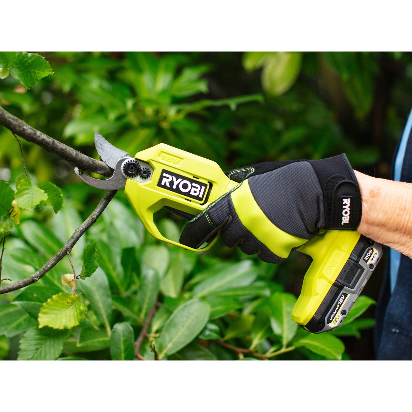Foarfeca de gradina 18V ONE+ (fara acumulator) - RY18SCA-0